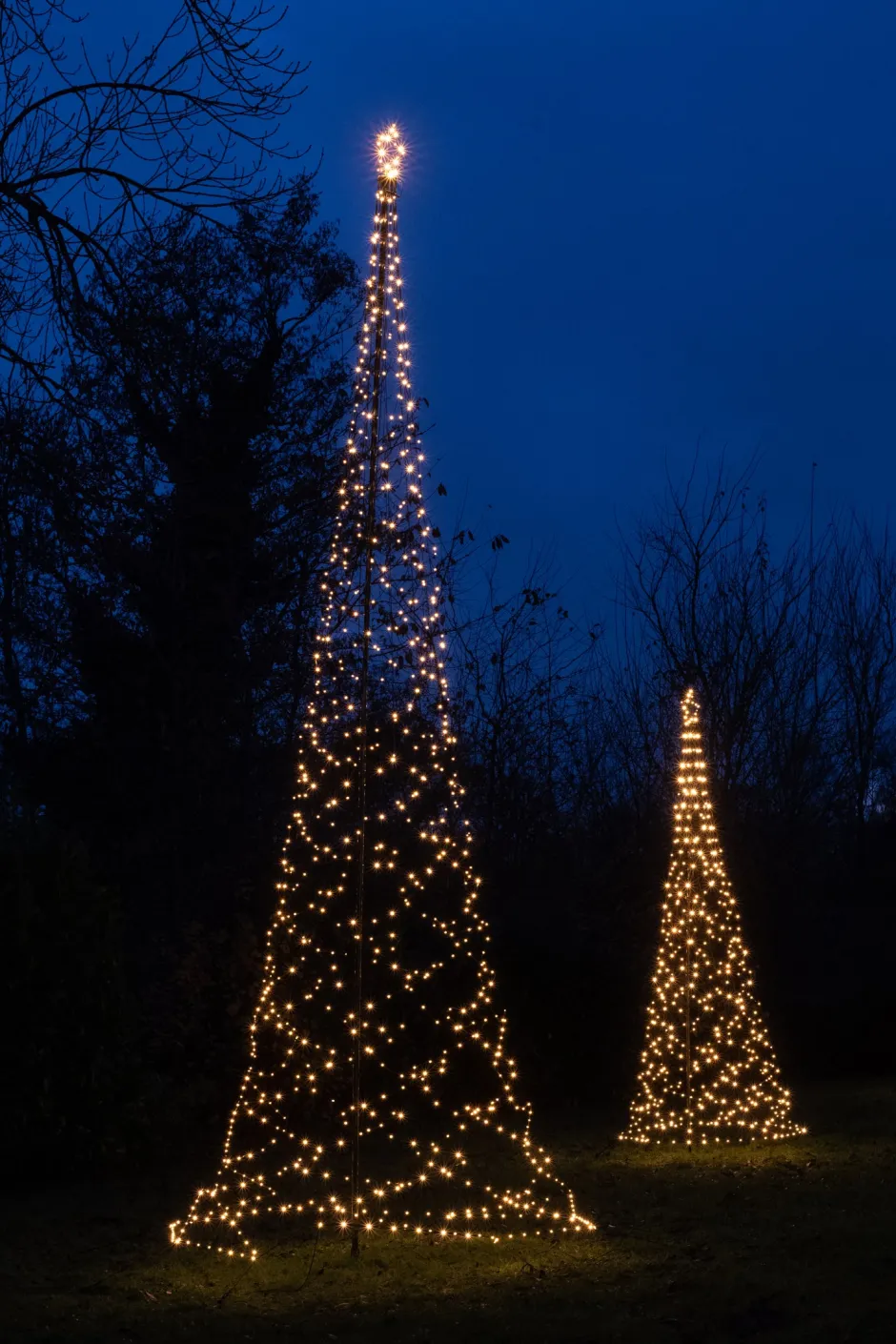 Intratuin Anna's Collection Fahnenmast-Beleuchtung mit 836 LEDs H 500 cm| Led Weihnachtsbäume (Außen)