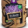 Intratuin Baza Mini-Garten Bio-Lavendel (Lavandula)| Saatgut