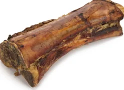 Intratuin Beeztees Rindermarkknochen getrocknet 18-20 cm| Hundesnacks & Leckerlies