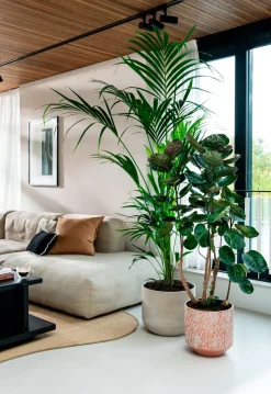 Intratuin Bela Arte Blumentopf Belem braun D 30 H 29 cm| Blumentöpfe|Blumentöpfe & Pflanzgefäße