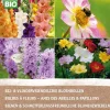 Intratuin Bio-Blumenzwiebeln für Bienen und Schmetterlinge 25 St.| Sommer-Blüher|Blumenzwiebeln