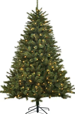 Intratuin Black Box Künstlicher Weihnachtsbaum Jade H 120 cm mit 140 LEDs warmweiß| Künstliche Weihnachtsbäume
