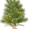 Intratuin Black Box Künstlicher Weihnachtsbaum Glendon Burlap met LED verlichting H 60 cm| Künstliche Weihnachtsbäume