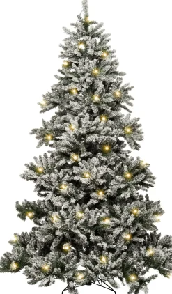 Intratuin Black Box Künstlicher Weihnachtsbaum Fiss H 185 cm mit 340 LEDs warmweiß| Künstliche Weihnachtsbäume