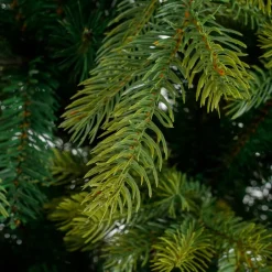 Intratuin Black Box Künstlicher Weihnachtsbaum Grand Fir D 152 H 215 cm| Künstliche Weihnachtsbäume