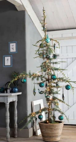 Intratuin Blaue Zeder (Cedrus libani 'Glauca') D 30 H 175 cm| Winterharte Pflanzen|Koniferen