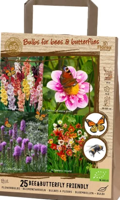 Intratuin Blumenzwiebeln für Bienen & Schmetterlinge 25 St. (BIO)| Frühlings-Blüher|Blumenzwiebeln