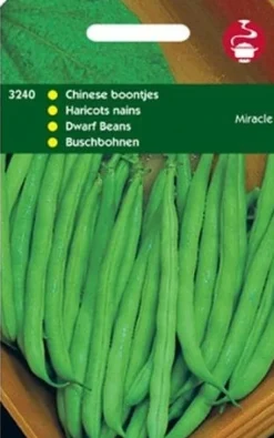 Intratuin Buschbohnen (Phaseolus vulgaris 'Miracle') Samen| Gemüsesamen|Saatgut