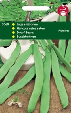 Intratuin Buschbohnen (Phaseolus vulgaris 'Admires') Samen| Gemüsesamen|Saatgut