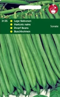 Intratuin Buschbohnen (Phaseolus vulgaris 'Sonate') Samen| Gemüsesamen|Saatgut
