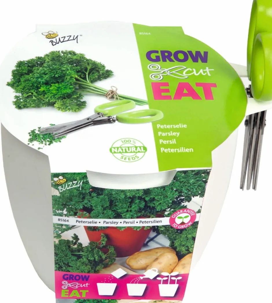 Intratuin Buzzy® Anzucht-Set Petersilie Kräutertopf mit Schere "Grow, Cut & Eat"| Anzucht-Zubehör|Kräutersamen