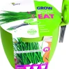 Intratuin Buzzy® Anzucht-Set Schnittlauch Kräutertopf mit Schere "Grow, Cut & Eat"| Kräutersamen|Saatgut