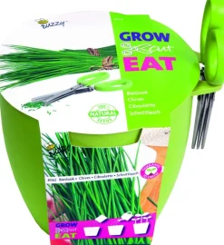 Intratuin Buzzy® Anzucht-Set Schnittlauch Kräutertopf mit Schere "Grow, Cut & Eat"| Kräutersamen|Saatgut