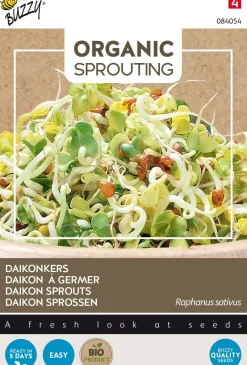 Intratuin Buzzy® Daikon Sprossen (Raphanus sativus) (BIO) Samen| Gemüsesamen|Saatgut