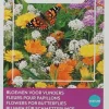 Intratuin Buzzy® Friendly Flowers Blumen für Schmetterlinge Samen-Mischung für 25 m²| Saatgut|Blühende Pflanzen