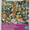 Intratuin Buzzy® Friendly Flowers Blumen für Bienen Samen-Mischung für 25 m²| Saatgut|Blühende Pflanzen