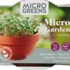 Intratuin Buzzy® Microgreens Grünkohl (Brassica oleracea var. Acephala Sabellica) Kresse-Anzuchtset| Gemüsesamen|Saatgut