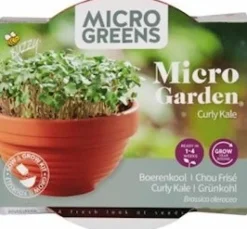 Intratuin Buzzy® Microgreens Grünkohl (Brassica oleracea var. Acephala Sabellica) Kresse-Anzuchtset| Gemüsesamen|Saatgut