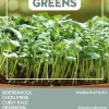 Intratuin Buzzy® Microgreens Grünkohl Sprossen (Brassica oleracea var. acephala sabellica) Sprossen (BIO) Samen| Gemüsesamen|Saatgut