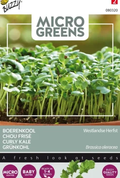 Intratuin Buzzy® Microgreens Grünkohl Sprossen (Brassica oleracea var. acephala sabellica) Sprossen (BIO) Samen| Gemüsesamen|Saatgut