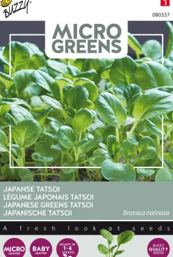 Intratuin Buzzy® Microgreens Japanische Tatsoi Sprossen (Brassica narinosa) Sprossen (BIO) Samen| Gemüsesamen|Saatgut