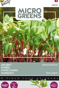 Intratuin Buzzy® Microgreens Mangold Sprossen (Beta vulgaris) Sprossen (BIO) Samen| Gemüsesamen|Saatgut