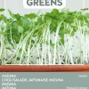 Intratuin Buzzy® Microgreens Mizuna Sprossen (Brassica rapa) (BIO) Samen| Gemüsesamen|Saatgut
