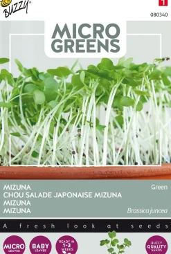 Intratuin Buzzy® Microgreens Mizuna Sprossen (Brassica rapa) (BIO) Samen| Gemüsesamen|Saatgut