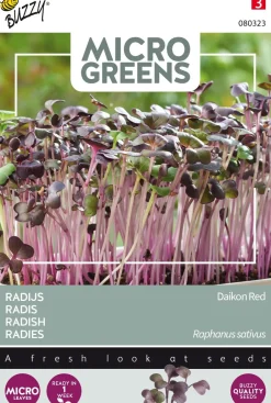 Intratuin Buzzy® Microgreens Radies Sprossen (Raphanus sativus) Sprossen (BIO) Samen| Gemüsesamen|Saatgut
