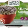 Intratuin Buzzy® Microgreens Roter Mizuna (Brassica rapa) Kresse-Anzuchtset| Gemüsesamen|Saatgut