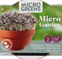 Intratuin Buzzy® Microgreens Roter Mizuna (Brassica rapa) Kresse-Anzuchtset| Gemüsesamen|Saatgut