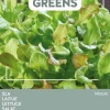 Intratuin Buzzy® Microgreens Salat-Mischung Sprossen (Lactuca sativa type) Sprossen (BIO) Samen| Gemüsesamen|Saatgut