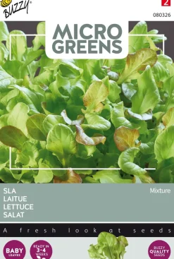 Intratuin Buzzy® Microgreens Salat-Mischung Sprossen (Lactuca sativa type) Sprossen (BIO) Samen| Gemüsesamen|Saatgut