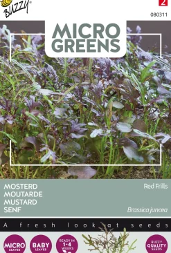 Intratuin Buzzy® Microgreens Senf Sprossen (Sinapis alba 'Red Frills') Sprossen (BIO) Samen| Gemüsesamen|Saatgut