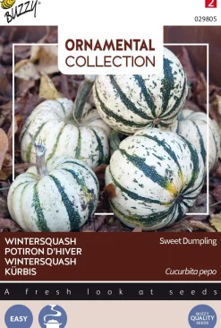 Intratuin Buzzy® Ornamental Kürbis (Cucurbita pepo 'Sweet Dumpling') Samen| Gemüsesamen|Saatgut