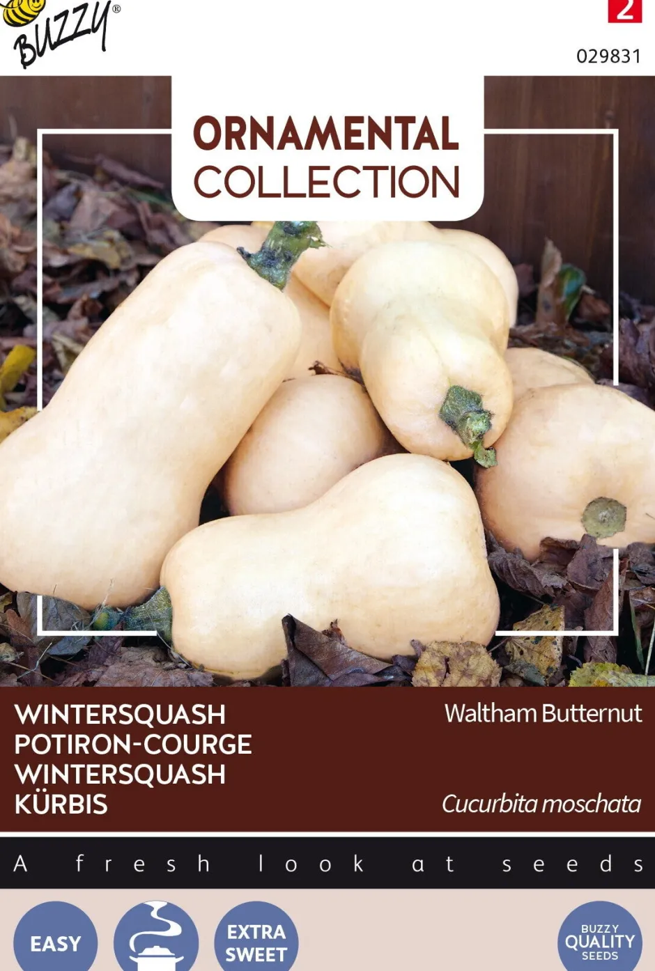 Intratuin Buzzy® Ornamental Kürbis (Cucurbita moschata 'Waltham Butternut') Samen| Gemüsesamen|Saatgut