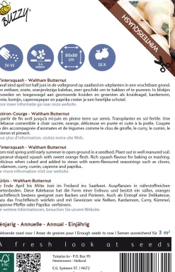 Intratuin Buzzy® Ornamental Kürbis (Cucurbita moschata 'Waltham Butternut') Samen| Gemüsesamen|Saatgut