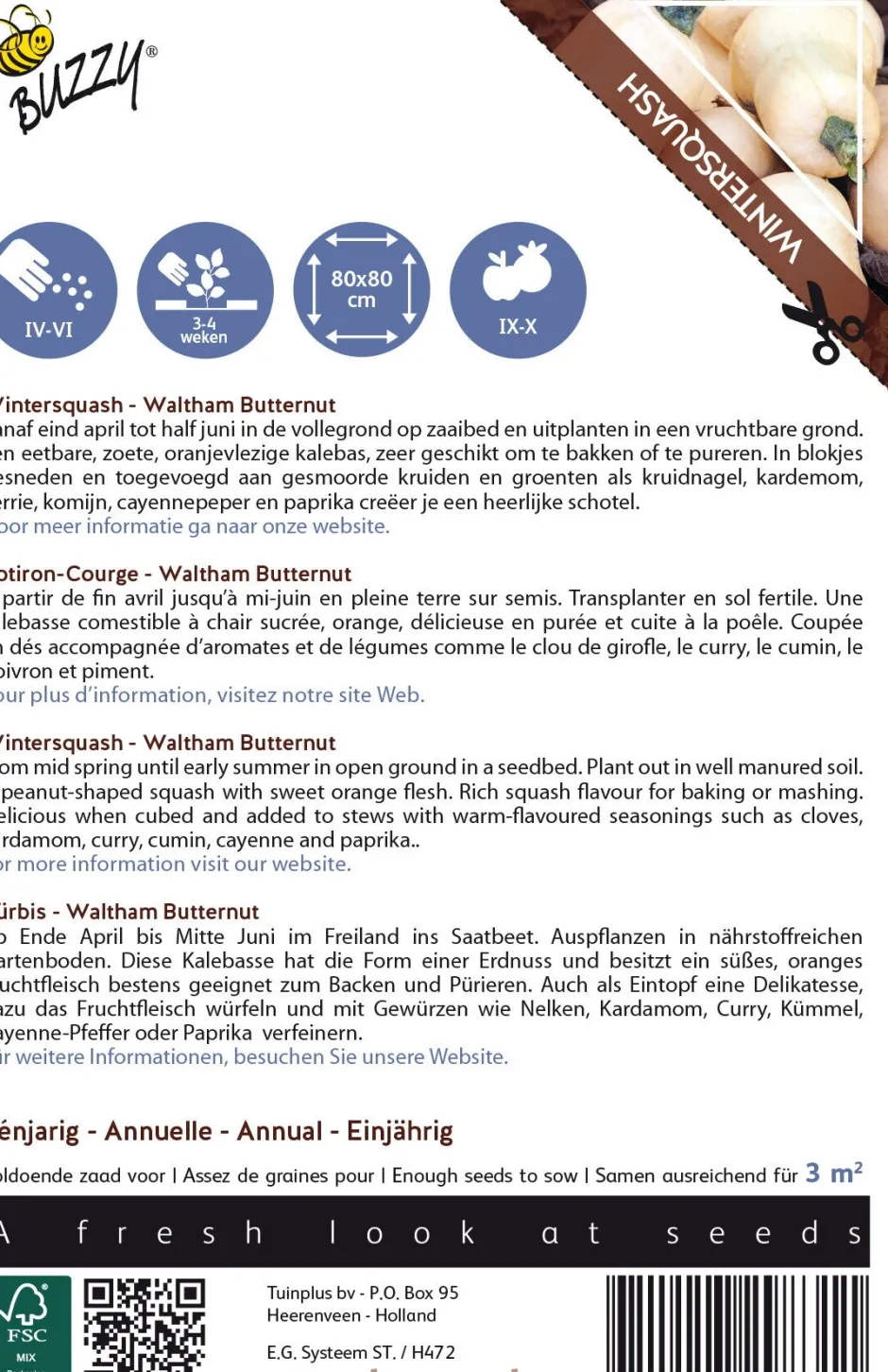 Intratuin Buzzy® Ornamental Kürbis (Cucurbita moschata 'Waltham Butternut') Samen| Gemüsesamen|Saatgut