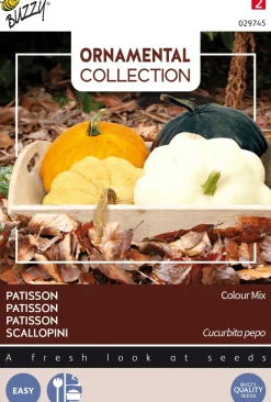Intratuin Buzzy® Ornamental Scallopini (Cucurbita pepo 'Colour Mix') Samen| Gemüsesamen|Saatgut