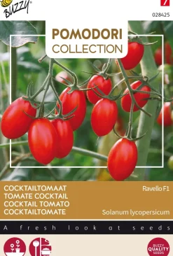 Intratuin Buzzy® Pomodori Cocktailtomate (Solanum lycopersicum 'Ravello F1') Samen| Gemüsesamen|Saatgut