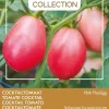 Intratuin Buzzy® Pomodori Cocktailtomate (Solanum lycopersicum 'Pink Thai Egg') Samen| Gemüsesamen|Saatgut