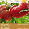 Intratuin Buzzy® Pomodori Fleischtomate (Solanum lycopersicum 'Bistecca Supersteak F1') Samen| Gemüsesamen|Saatgut