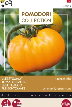 Intratuin Buzzy® Pomodori Fleischtomate gelb (Solanum lycopersicum 'Grappa Gialla') Samen| Gemüsesamen|Saatgut