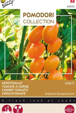Intratuin Buzzy® Pomodori Kirschtomate (Solanum lycopersicum 'Dolly F1') Samen| Gemüsesamen|Saatgut