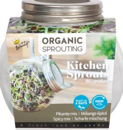 Intratuin Buzzy® Sprossen Pikante Mischung Organic Sprouting Anzuchtset| Gemüsesamen|Anzuchtkästen & Mini-Gewächshäuser