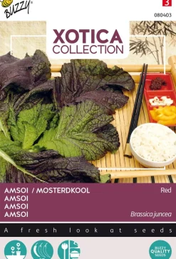Intratuin Buzzy® Xotica Amsoi rot (Brassica juncea 'Red') Samen| Gemüsesamen|Saatgut
