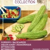 Intratuin Buzzy® Xotica Bittermelone (Momordica charantia) Samen| Gemüsesamen|Saatgut