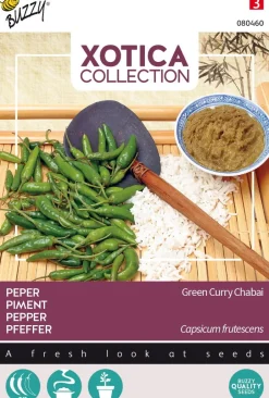 Intratuin Buzzy® Xotica Green Curry Chabai (Capsicum frutescens) Samen| Gemüsesamen|Saatgut