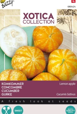 Intratuin Buzzy® Xotica Gurke (Cucumis sativus 'Lemon Apple') Samen| Gemüsesamen|Saatgut