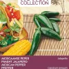 Intratuin Buzzy® Xotica Jalapeno (Capsicum annuum) Samen| Gemüsesamen|Saatgut